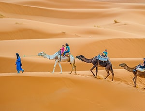 Book Ras AL Khaimah Camel Trek Safari Packages & Tours